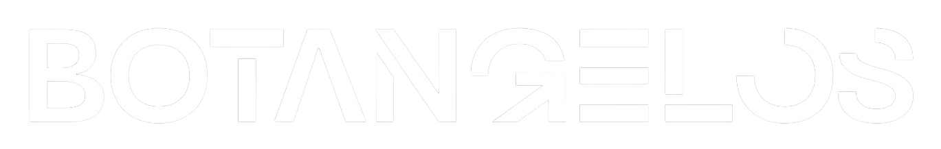 Company Name